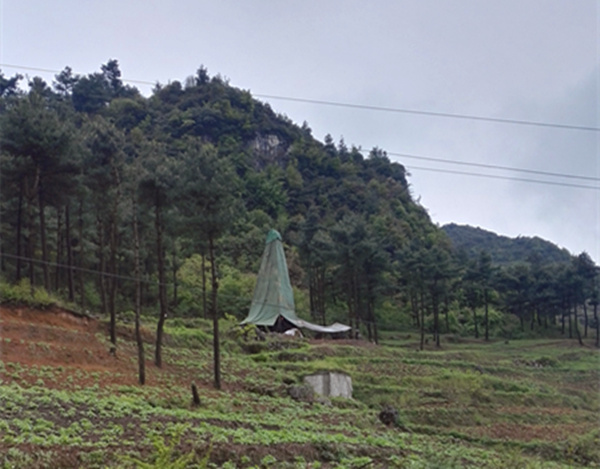 把脈“黔”鋅地，問診開良方