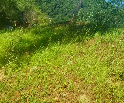 柳關欒盧鉛鋅礦|治理排土“瘡疤”，繪就綠色畫卷